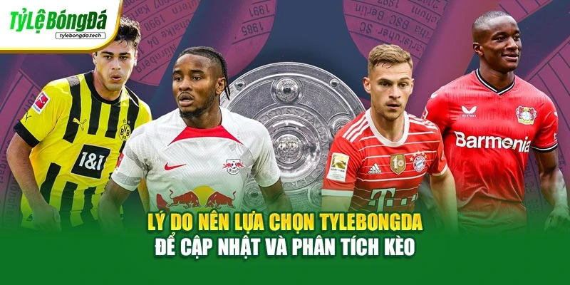 Lý do nên lựa chọn tylebongda để cập nhật và phân tích kèo