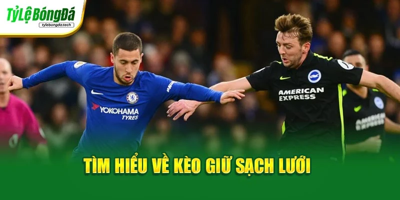 Tìm hiểu về kèo giữ sạch lưới
