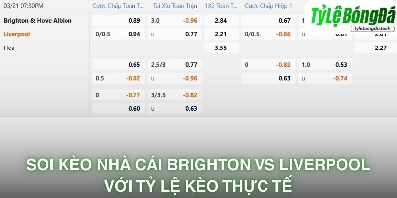 Soi kèo nhà cái Brighton vs Liverpool với tỷ lệ kèo thực tế