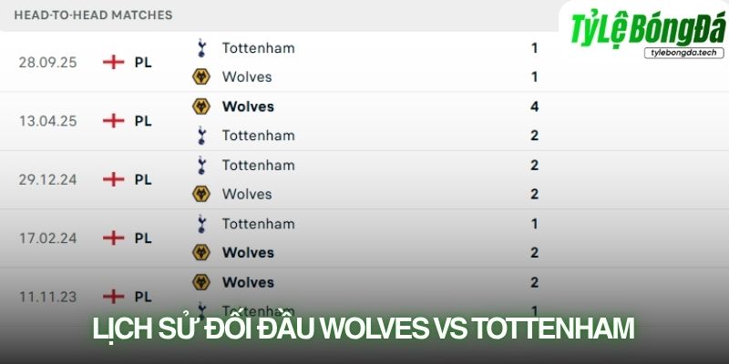 Lịch sử đối đầu Wolves vs Tottenham