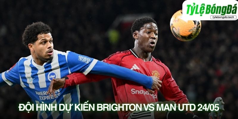 Đội hình dự kiến Brighton vs Man Utd 24/05
