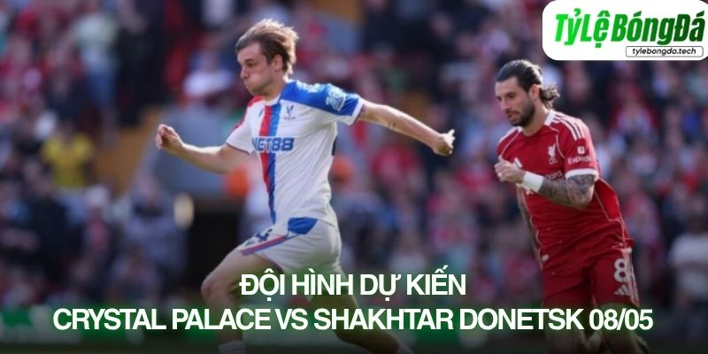 Tình hình lực lượng và đội hình dự kiến Crystal Palace vs Shakhtar Donetsk