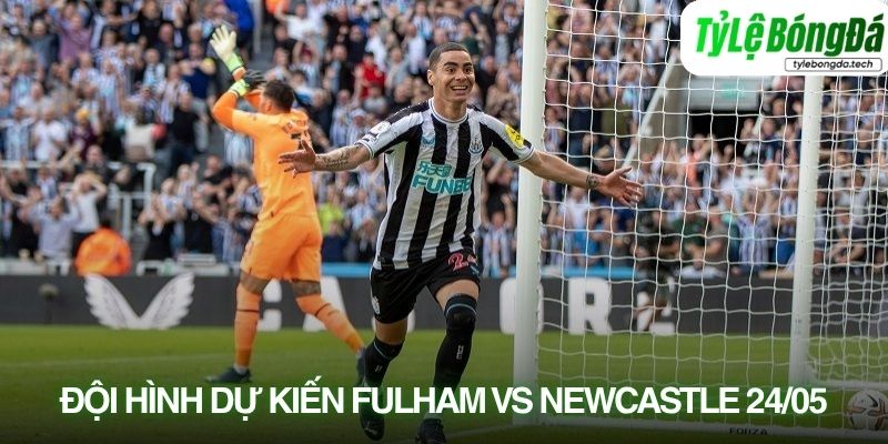 Tình hình lực lượng Fulham vs Newcastle United 24/05