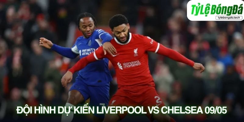 Tình hình lực lượng Liverpool vs Chelsea 09/05