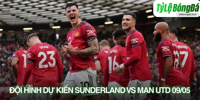 Tình hình lực lượng Sunderland vs Manchester United