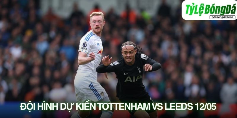 Tình hình lực lượng Tottenham vs Leeds United 12/05