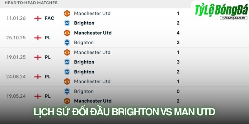 Lịch sử đối đầu Brighton vs Man Utd