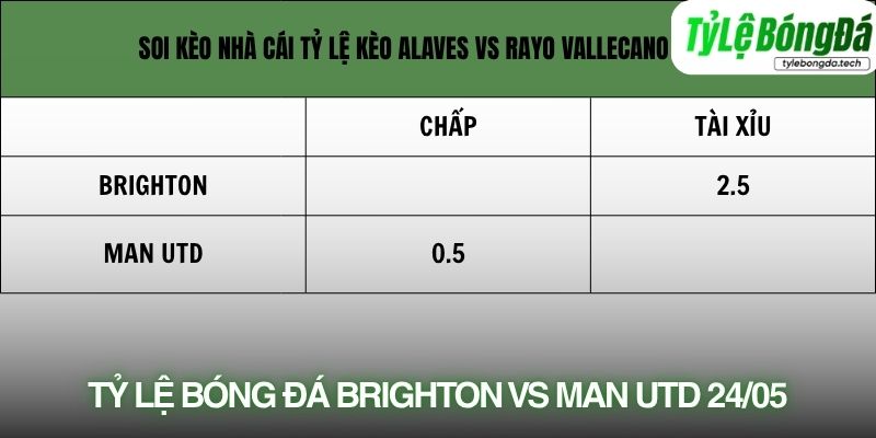 Tỷ lệ bóng đá Brighton vs Man Utd 24/05
