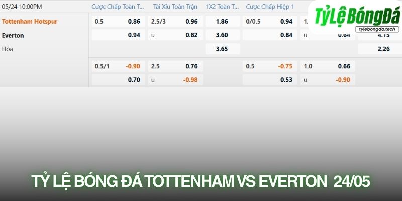 Tỷ lệ bóng đá Tottenham vs Everton 24/05