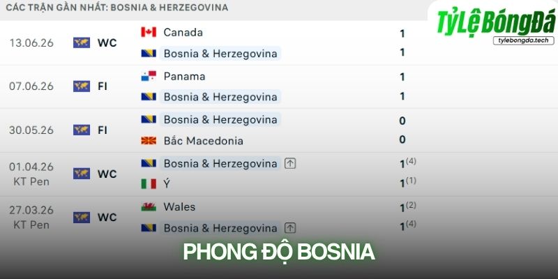 Phong độ Bosnia & Herzegovina