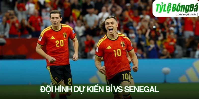 Tình hình lực lượng Bỉ vs Senegal 02/07