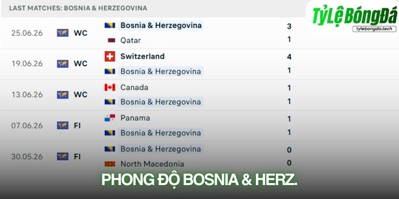 Phong độ Bosnia & Herzegovina