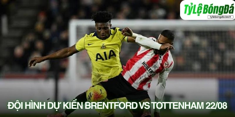 Tình hình lực lượng Brentford vs Tottenham 22/08