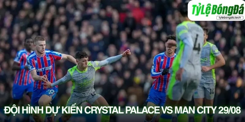 Tình hình lực lượng Crystal Palace vs Manchester City 29/08