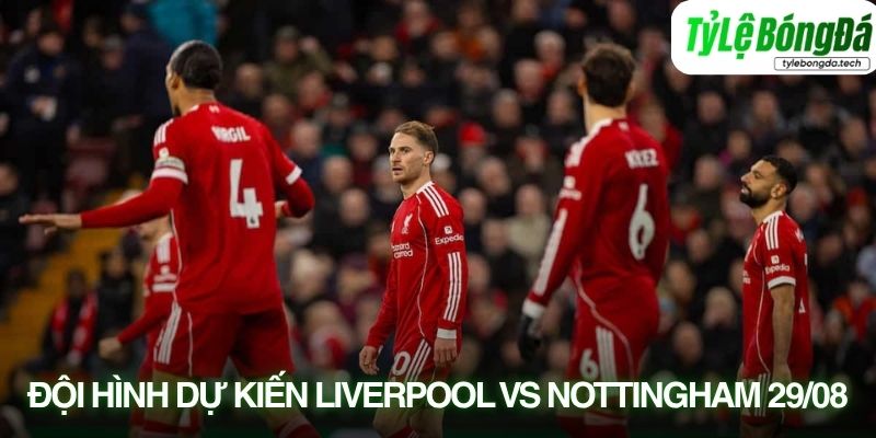 Tình hình lực lượng Liverpool vs Nottingham Forest 29/08