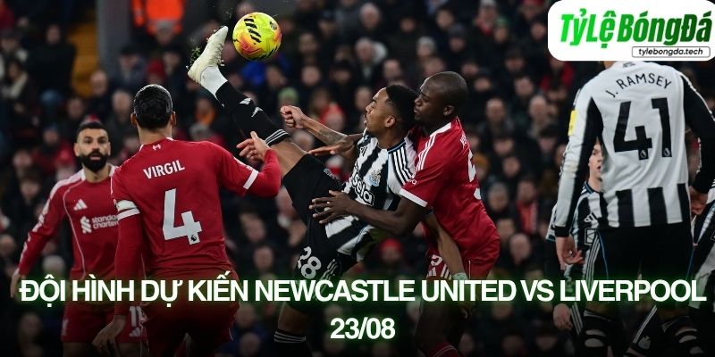 Tình hình lực lượng Newcastle United vs Liverpool 23/08