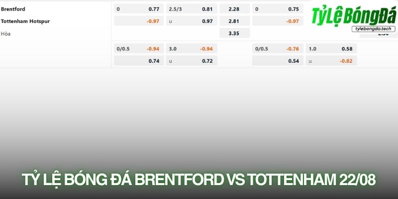 Tỷ lệ bóng đá Brentford vs Tottenham 22/08